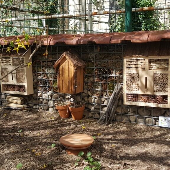 Hotel-a-insectes-en-gabion